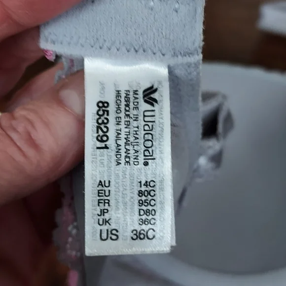 Wacoal Bra.Elegant Lace Trim Bra in Gray and Pink - Picture 4 of 4